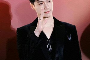 刘诗诗张艺兴闪耀Qeelin珠宝盛典 明星造型大赏