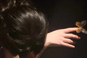 周也绝美壁纸合集：古装现代风格全收录